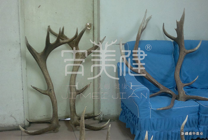 新疆昌吉華盛商貿(mào)鹿角