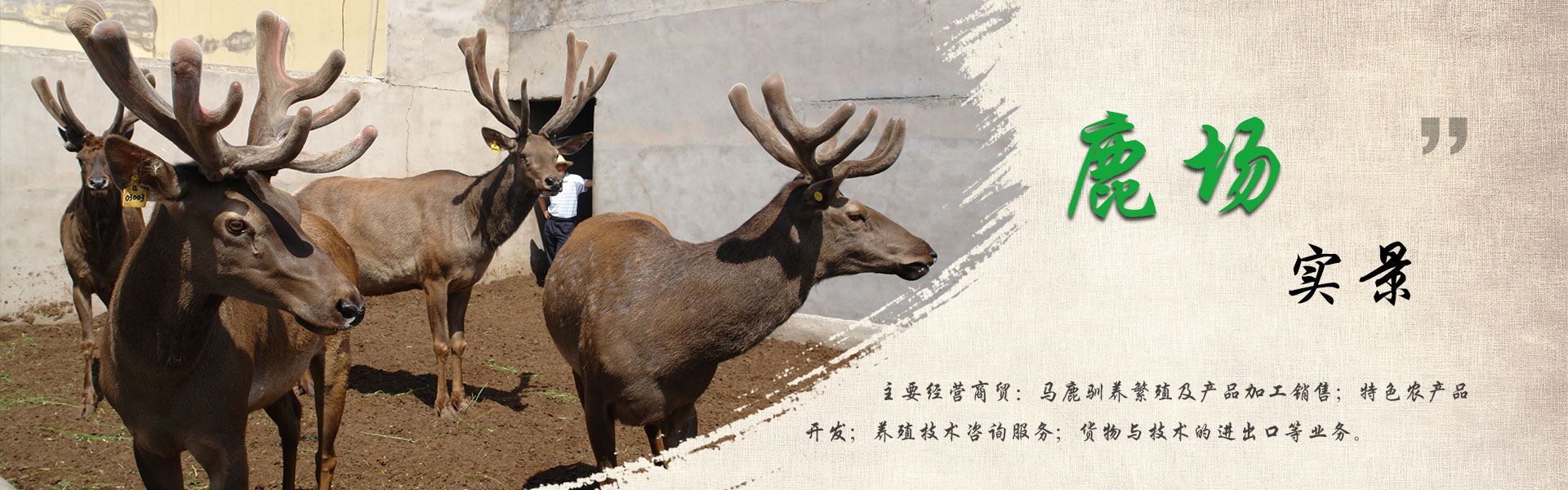 新疆昌吉華盛商貿(mào)